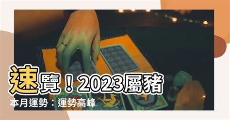 2023屬豬財運